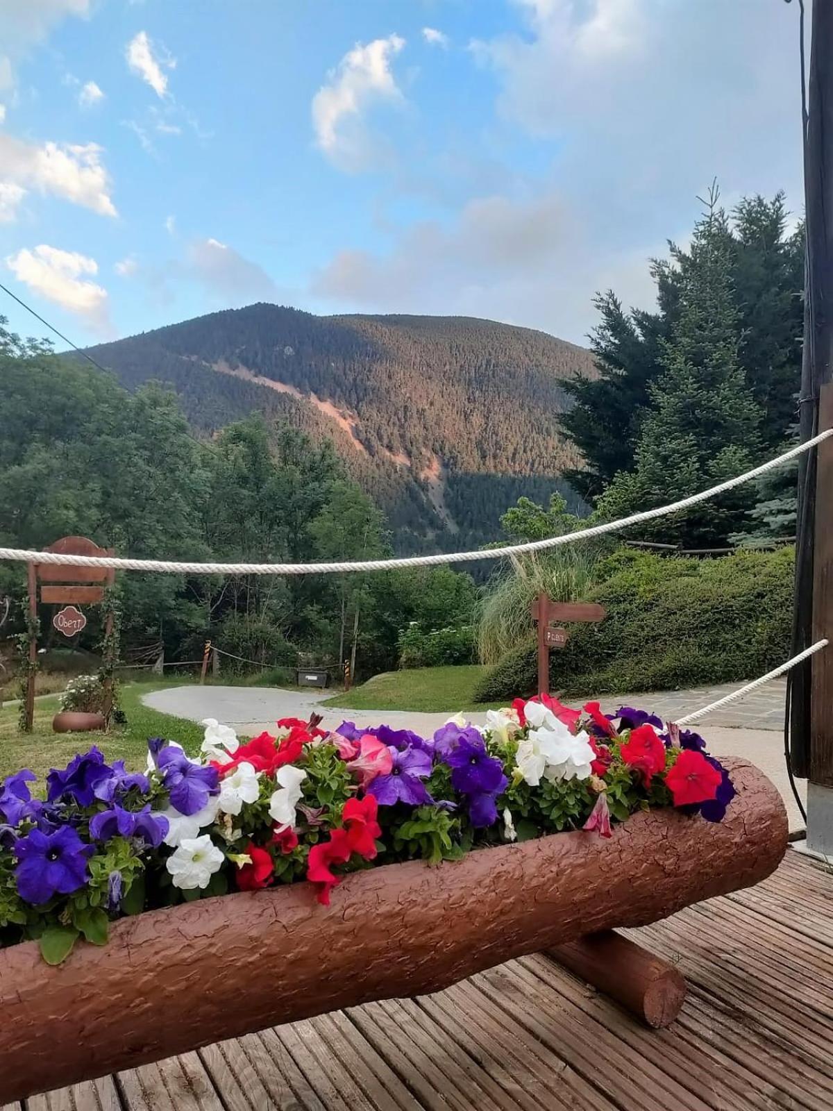 Can Gasparo Hotelrural&Restaurant Planoles Εξωτερικό φωτογραφία