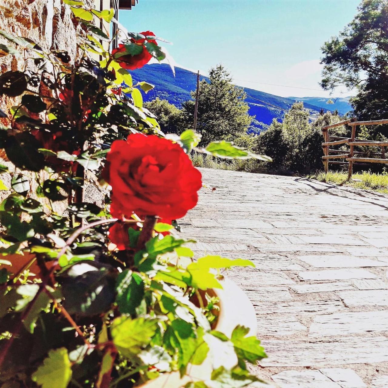 Can Gasparo Hotelrural&Restaurant Planoles Εξωτερικό φωτογραφία